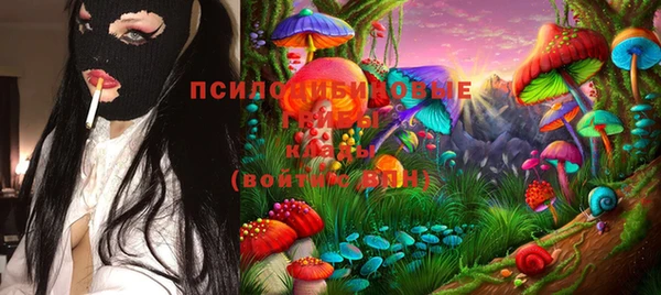 мдпв Протвино