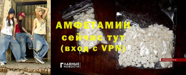 мдпв Протвино
